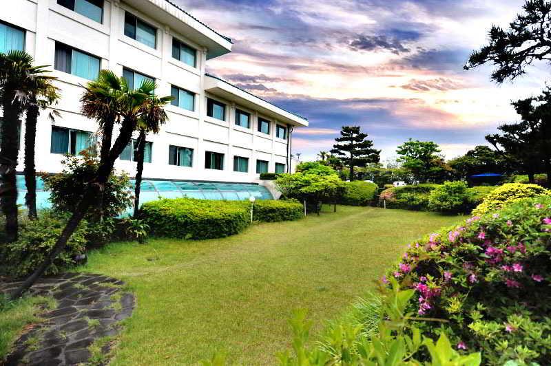 Bloom Hotel 3*