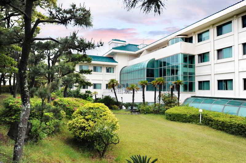 Bloom Hotel 3*